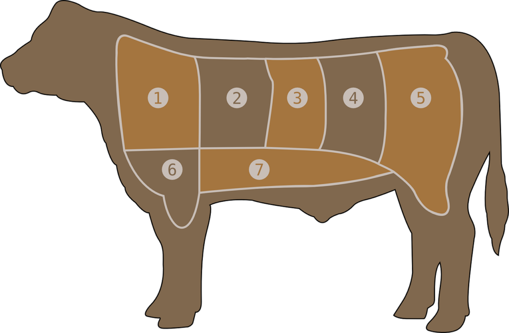 meat chart, beef, butcher-29043.jpg